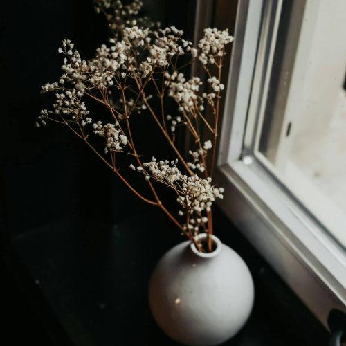 vase-flowers